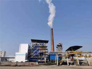 湘桂酵母年产20000吨活性干酵母工程新建35吨锅炉总承包工程项目